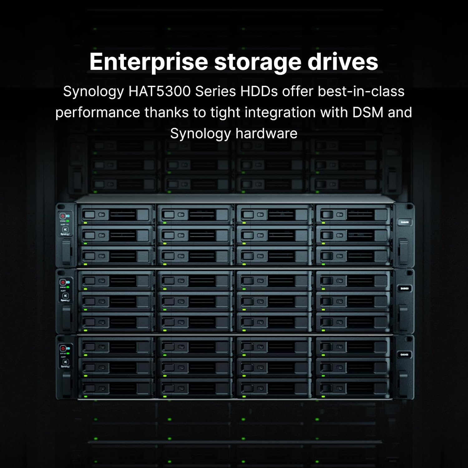 Synology Sata Enterprise HAT5320-24T 24TB 3.5" HDD/ HD/ Hardisk/ Harddisk Internal NAS - Image 2