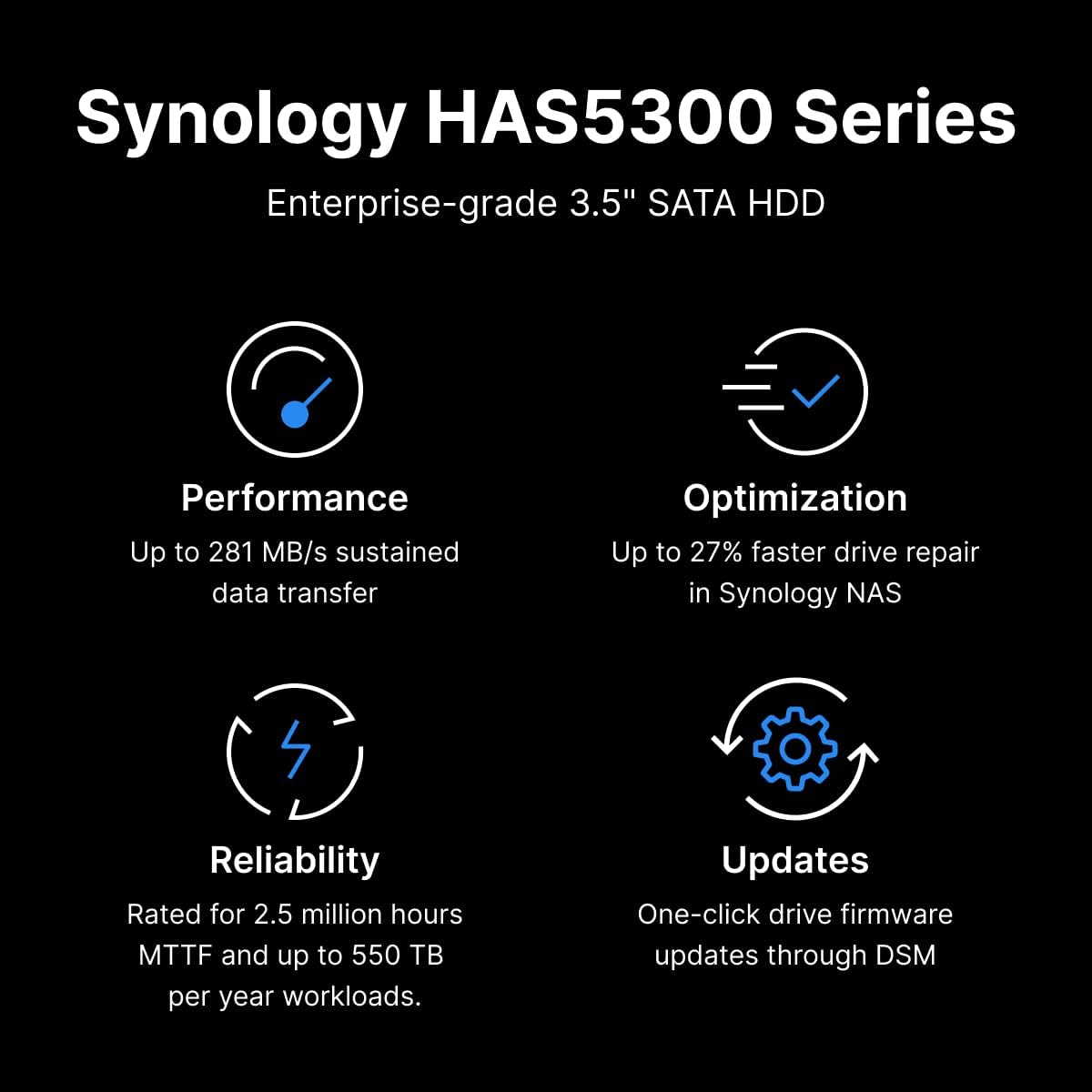 Synology SAS Enterprise HAS5300-12T 12TB 3.5" HDD/ HD/ Hardisk/ Harddisk Internal NAS - Image 3
