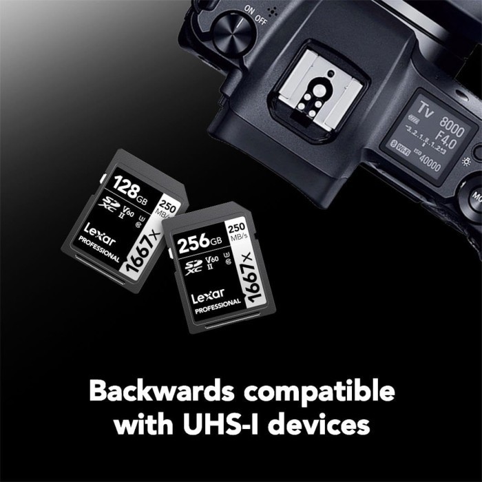 Lexar Professional 1066x SDXC UHS-I 1TB - SD Card 1 TB - Image 5