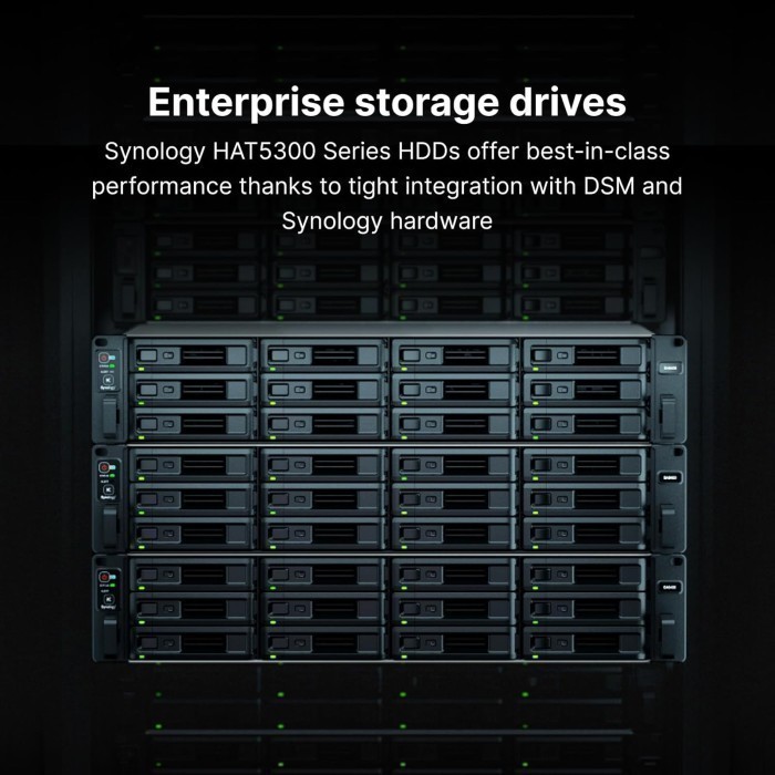 Synology Sata Enterprise HAT5300-16T 16TB 3.5" HDD/ HD/ Hardisk/ Harddisk Internal NAS - Image 2
