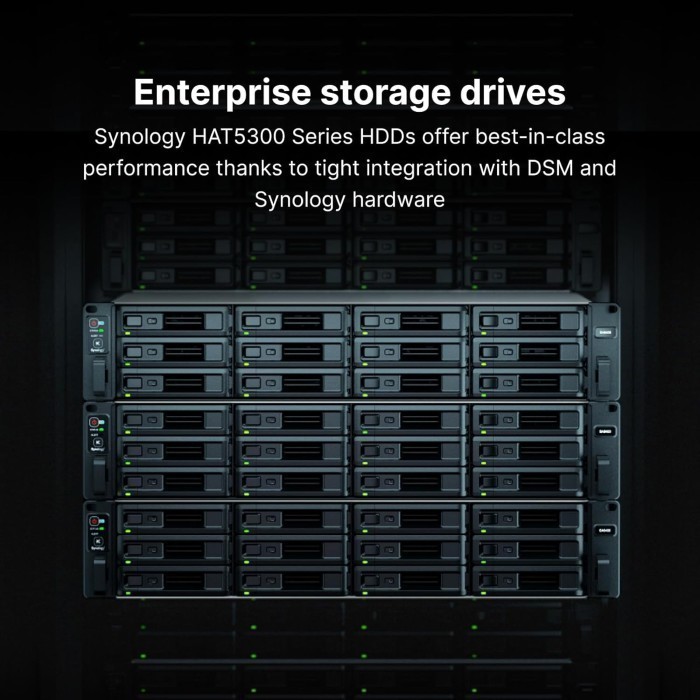 Synology Sata Enterprise HAT5300-12T 12TB 3.5" HDD/ HD/ Hardisk/ Harddisk Internal NAS - Image 2